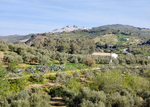 Olvera Provincia Cádiz Pueblo Cima Montaña Primavera —  Fotos de Stock