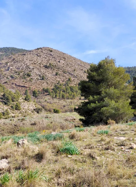 Δασικό Τοπίο Στη Νότια Ισπανία Στην Επαρχία Της Γρανάδας Στη — Φωτογραφία Αρχείου