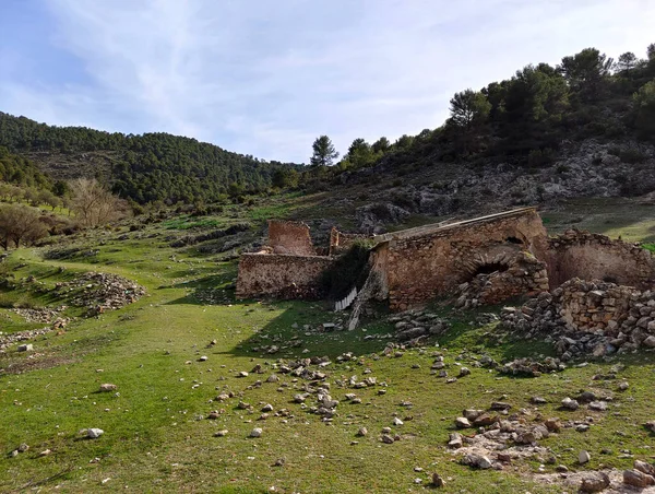 Forest Landscape South Spain Province Granada Granada — Stock Photo, Image