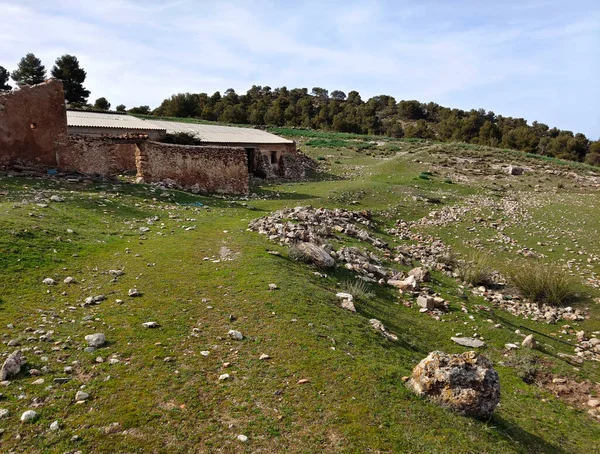 Paysage Forestier Dans Sud Espagne Dans Province Grenade Grenade — Photo