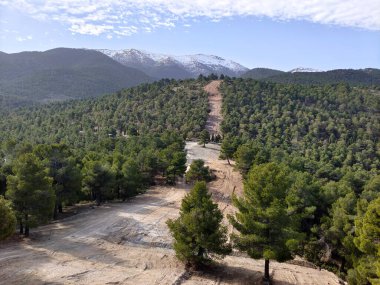 İlkbaharda İspanya 'nın güneyindeki Granada eyaletinde orman manzarası