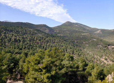 İlkbaharda İspanya 'nın güneyindeki Granada eyaletinde orman manzarası