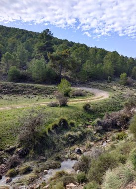 İlkbaharda İspanya 'nın güneyindeki Granada eyaletinde orman manzarası
