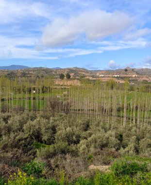 İlkbaharda Granada 'daki Purullena köyünde vadi manzarasıyla çevrili evleri görebilirsiniz.