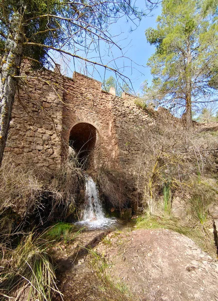 Forest Landscape South Spain Province Granada Springtime — Stock Photo, Image