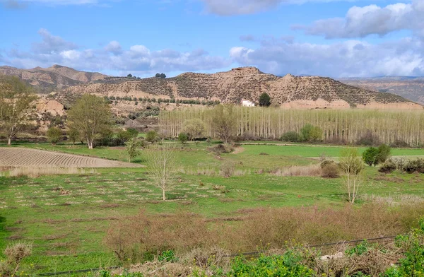 Purullena Villaggio Provincia Granada Primavera Possono Vedere Case Circondate Dal — Foto Stock