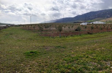 İlkbaharda Jaen eyaletinde dağları olan çayırlar