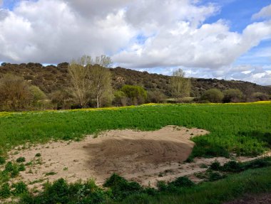 İlkbaharda Jaen eyaletinde dağları olan çayırlar