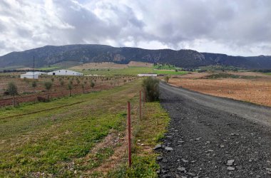İlkbaharda Jaen eyaletinde dağları olan çayırlar