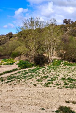 İlkbaharda Jaen eyaletinde dağları olan çayırlar