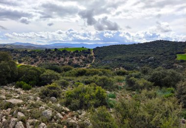 Meadows with mountains in Jaen province in springtime
