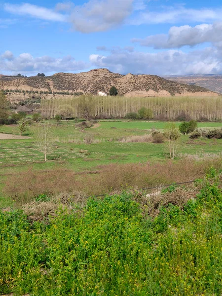 Prados Con Montañas Provincia Jaén Primavera — Foto de Stock