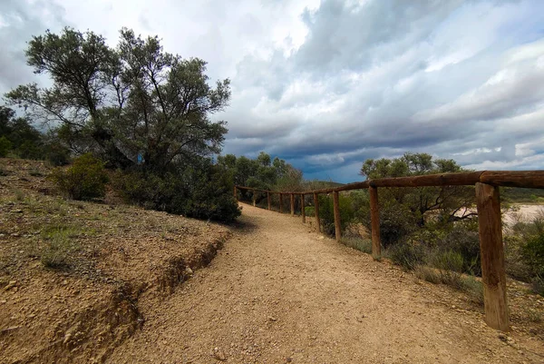 İlkbaharda İspanya 'nın Cordoba eyaletinin çayırlarında çiçekler