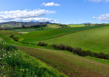 İlkbaharda Malaga 'da çayırlar