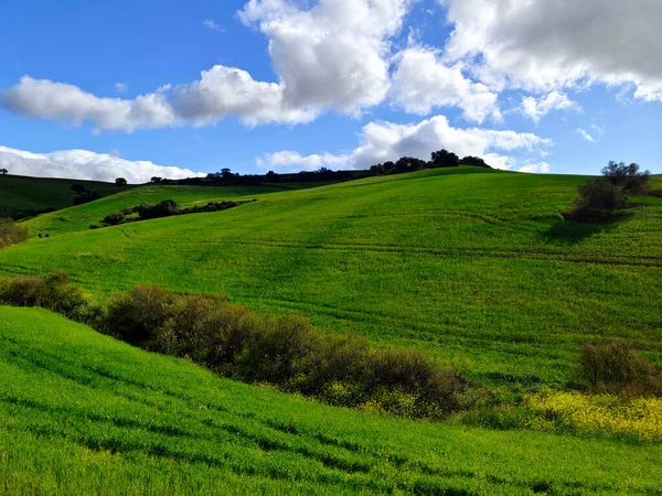 Prati Provincia Malaga Primavera — Foto Stock