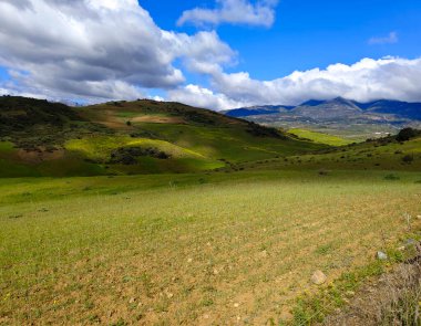İlkbaharda Malaga 'da çayırlar