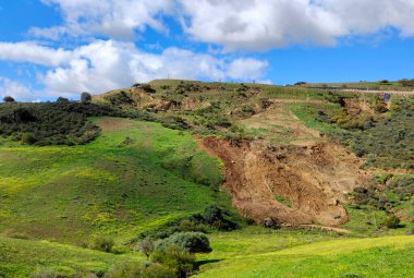 İlkbaharda Malaga 'da çayırlar