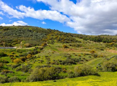 İlkbaharda Malaga 'da çayırlar