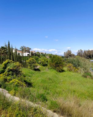 İlkbaharda İspanya 'nın Malaga eyaletinin çayırlarında çiçekler