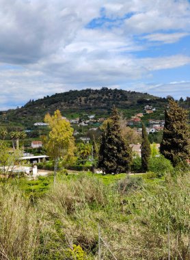İlkbaharda Malaga 'da portakal ağaçları