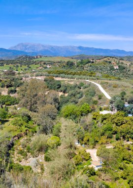 Dağlar Malaga 'nın tepesinde ağaçlarla yükseldi