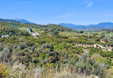 Dağlar Malaga 'nın tepesinde ağaçlarla yükseldi