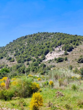 Dağlar Malaga 'nın tepesinde ağaçlarla yükseldi