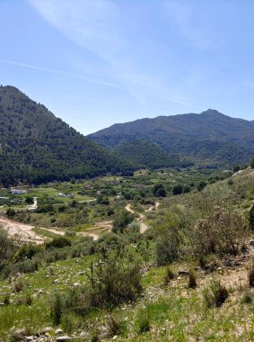 Dağlar Malaga 'nın tepesinde ağaçlarla yükseldi