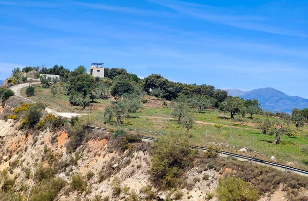 Bergen Verheven Provincie Malaga Met Bomen Top — Stockfoto