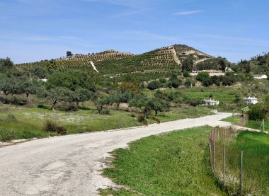 Güneşli bir günde, Span 'ın güneyindeki Malaga eyaletinin çayırlarında yol