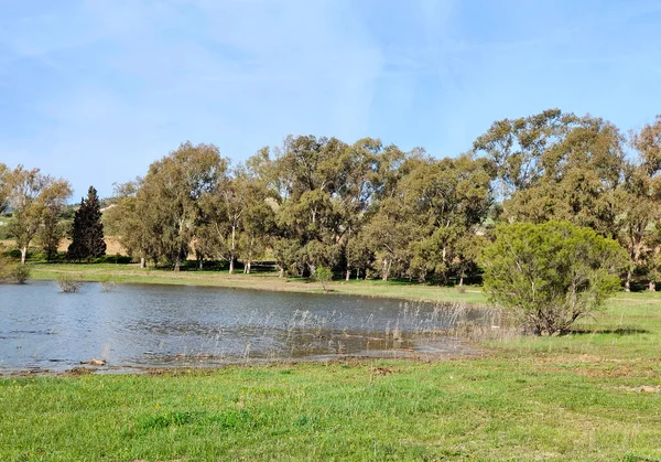 Güneşli bir günde, Span 'ın güneyindeki Malaga eyaletinin çayırlarında göl