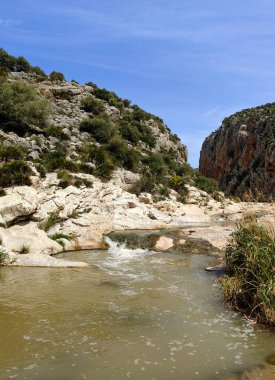 River in the mountains of Malaga in springtime