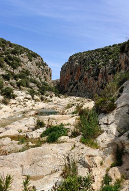 River in the mountains of Malaga in springtime