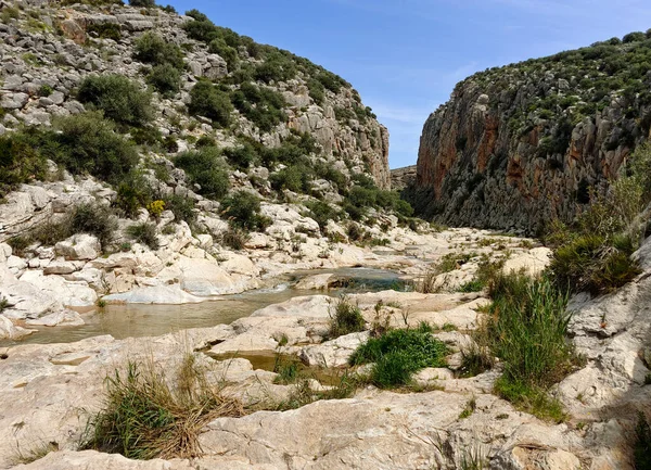 İlkbaharda Malaga dağlarında nehir