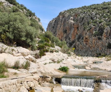 River in the mountains of Malaga in springtime