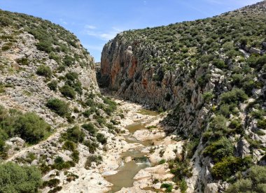 River in the mountains of Malaga in springtime