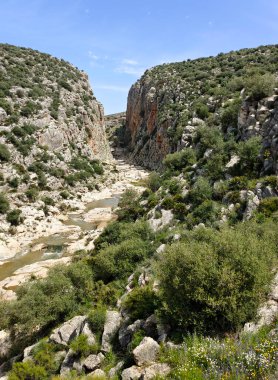 River in the mountains of Malaga in springtime