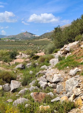 İspanya 'nın güneyindeki Malaga eyaletinde ilkbaharda çayırlar