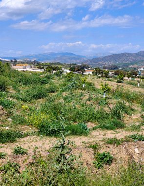 İlkbaharda Malaga dağlarındaki kırsal köy