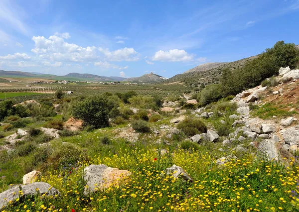 Meadows Malaga Province South Spain Springtime — ストック写真