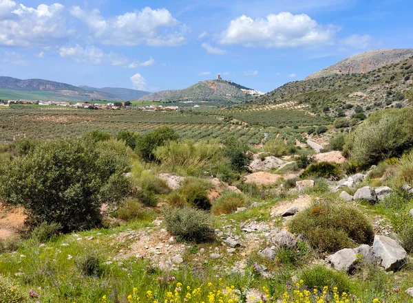 Łąki Prowincji Malaga Południu Hiszpanii Wiosną — Zdjęcie stockowe