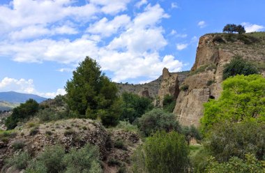 İspanya 'nın güneyindeki Malaga eyaletinde güneşli bir günde orman