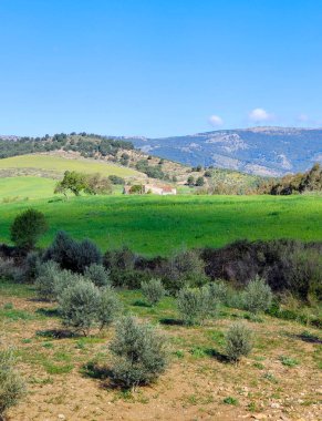 İspanya 'nın güneyindeki Malaga eyaletindeki dağlar güneşli bir günde
