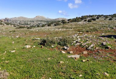 İspanya 'nın güneyindeki Malaga eyaletindeki dağlar güneşli bir günde