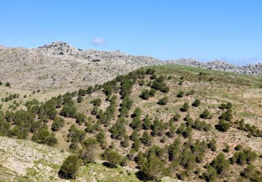 İspanya 'nın güneyindeki Malaga eyaletindeki dağlar güneşli bir günde