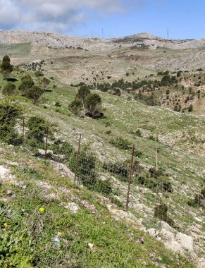 İspanya 'nın güneyindeki Malaga eyaletindeki dağlar güneşli bir günde