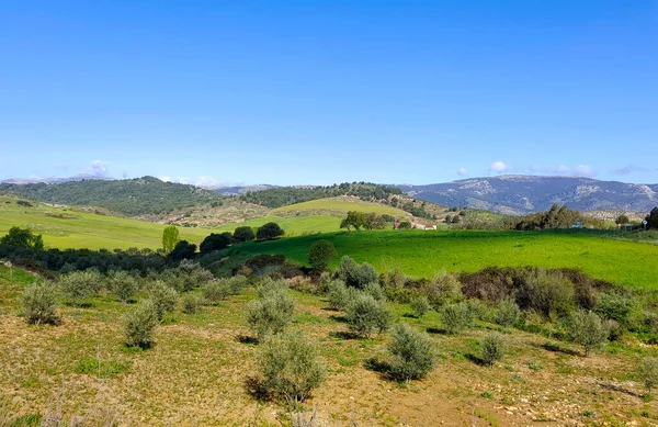 Mountains Malaga Province South Spain Sunny Day — Stockfoto