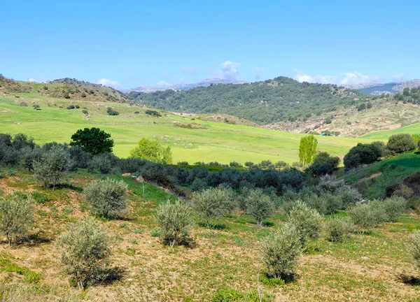 Mountains Malaga Province South Spain Sunny Day — Zdjęcie stockowe