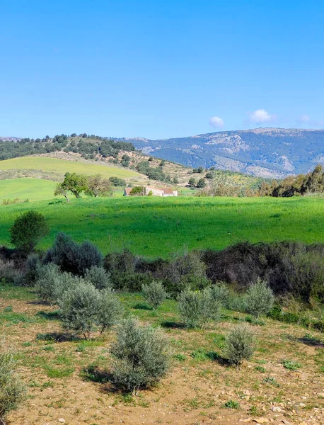 Mountains Malaga Province South Spain Sunny Day — ストック写真