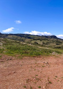 Meadows in Ronda in the south of Spain in the springtime